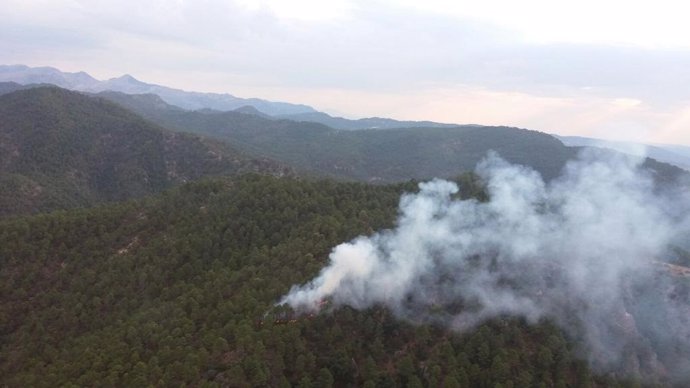 Declarado un incendio forestal en Hornos 
