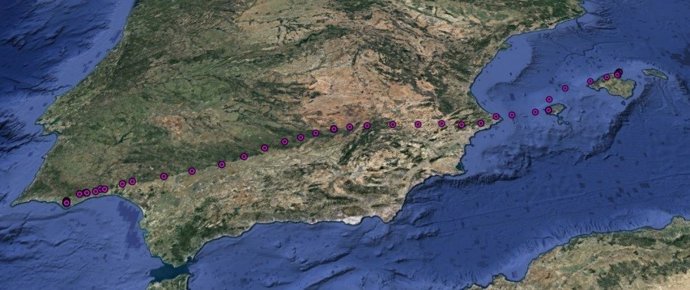 Mapa de la migración del águila pescadora