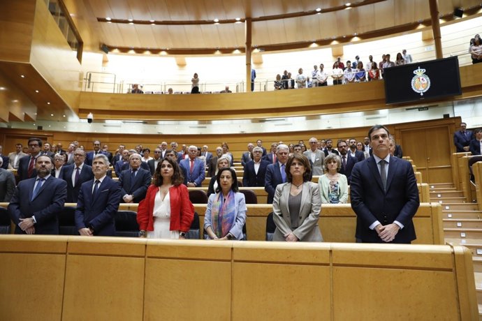 Pedro Sánchez amb els seus ministres al Senat