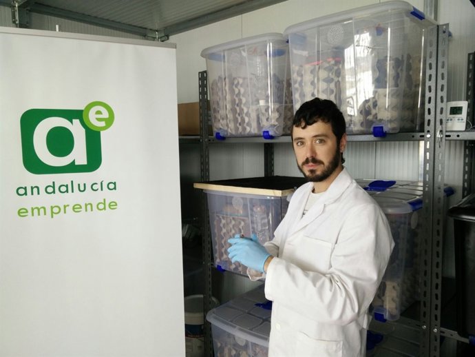 José Luis Sánchez Ávila, de la empresa Entosur Insects Farm
