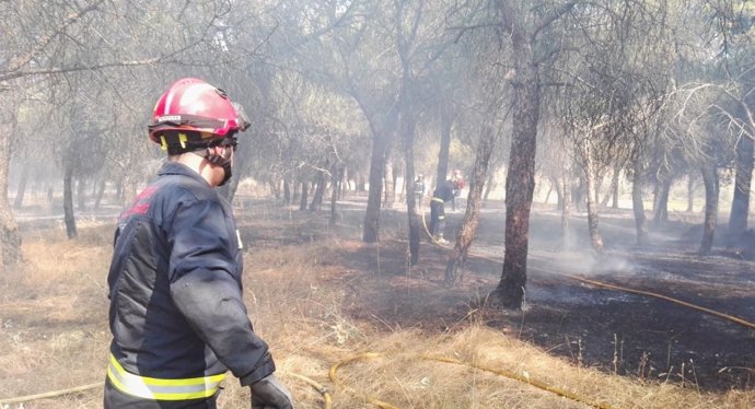 Valladolid.- Un bombero trabaja en el incendio