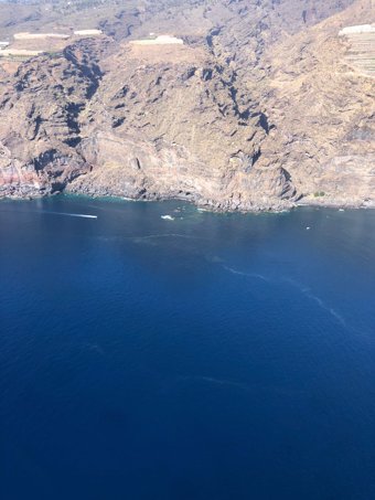 Microalgas en la costa de La Palma