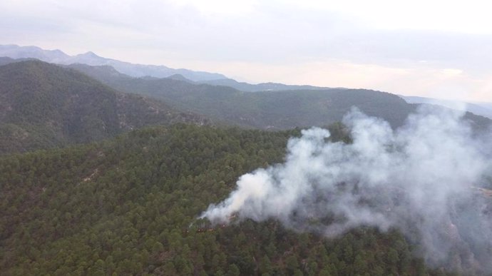 Incendio declarado en Sierra de Segura