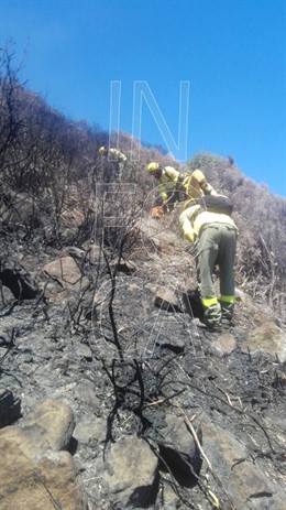 Incendio forestal en Tarifa