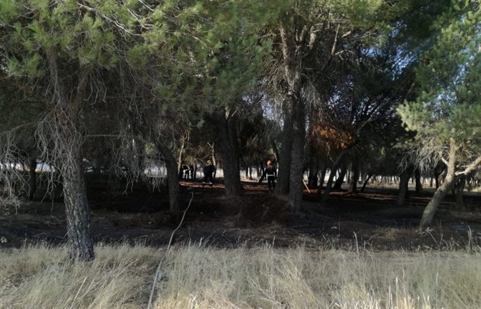 Valladolid.- Bomberos actuando sobre la superficie quemada en Las Flores