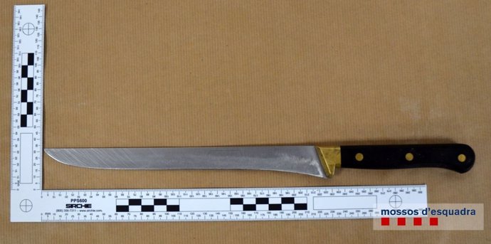 Cuchillo que presuntamente utilizó el detenido