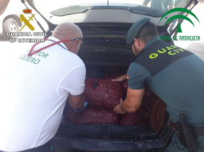 Almejas intervenidas en Huelva