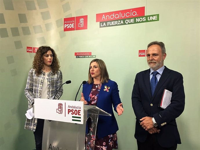 Irene García, secretaria del PSOE de Cádiz, en rueda de prensa