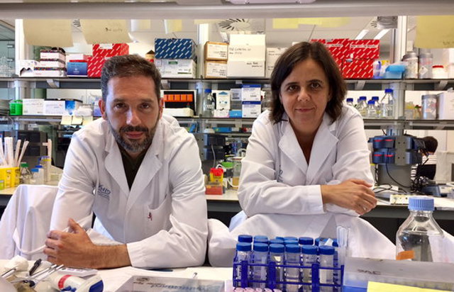 Agencia Catalana de Noticias