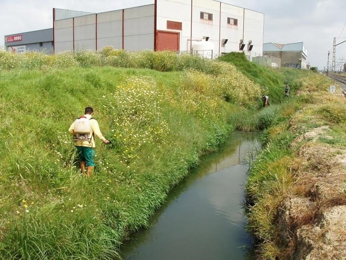 Sevicios de mosquitos de la Diputación de Huelva.