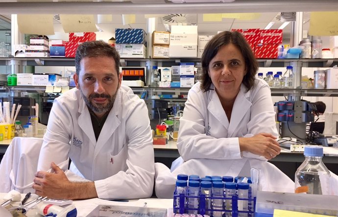 Investigadors descobreixen una nova funció d'una proteïna contra el càncer