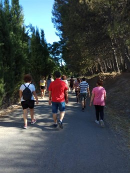 Actividad del Hospital de Día de Salud Mental