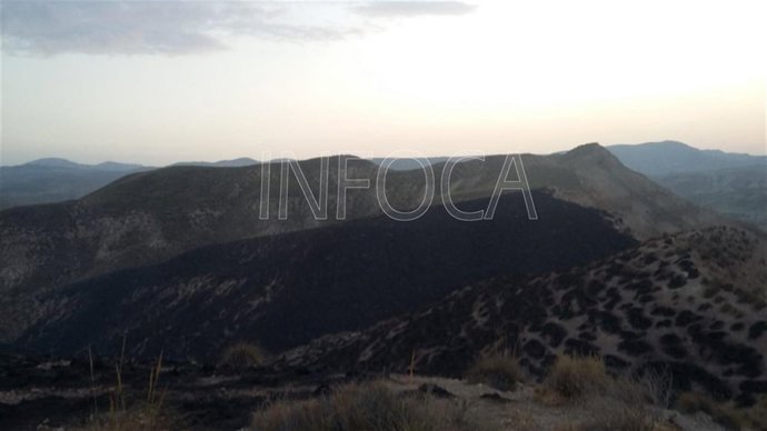 Incendio forestal