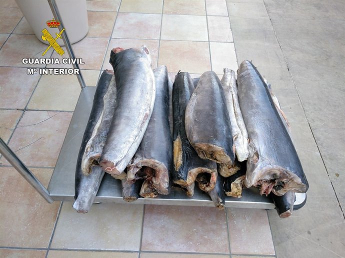 PEZ ESPADA INCAUTADO