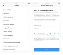 Solicitud verificación Instagram