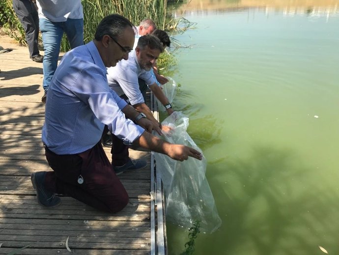 Consejero Medio Ambiente libera 50 angulones