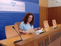 IULV-CA pide centrar el debate presupuestario en los ingresos para "acabar con agujereo fiscal de PSOE-A y Cs"