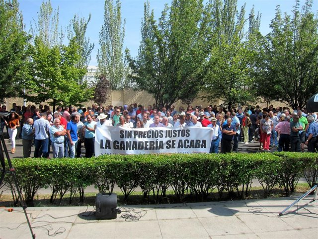 Concentración del ovino de leche ante la Consejería.                       