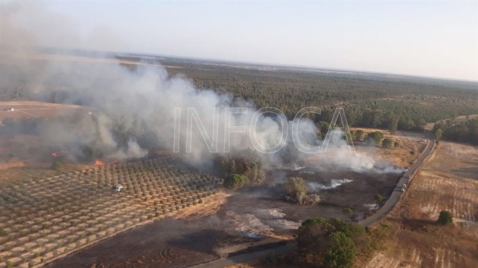 Incendio forestal en un paraje de Rociana del Condado