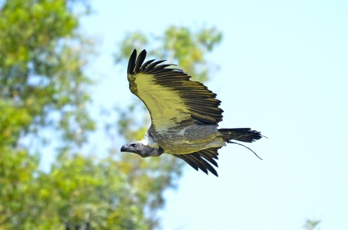 Exhibición el Ciclo de la Vida