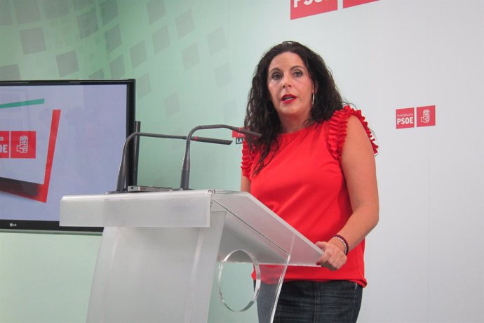 La secretaria de Formación y Nuevos Afiliados del PSOE, Ángeles 'Férriz.