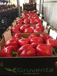 Asaja reclama una "marca de calidad" para las frutas y hortalizas murcianas