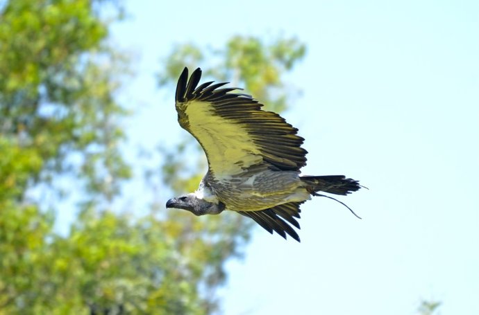 Exhibición el Ciclo de la Vida