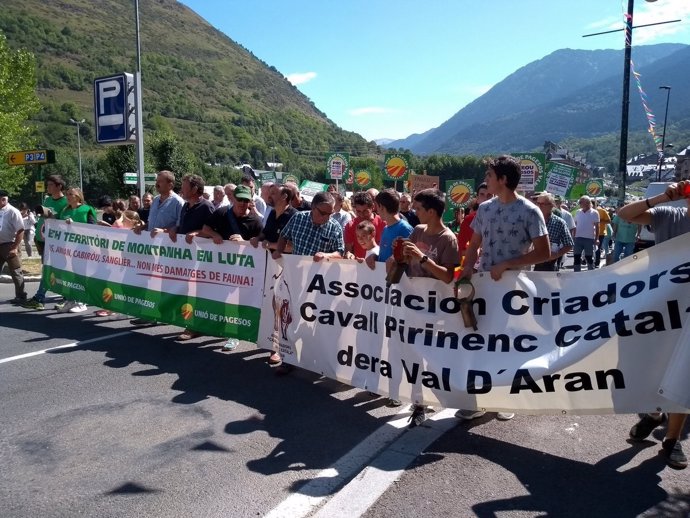 Manifestación en Vielha (Lleida) contra los ataques de animales al ganado