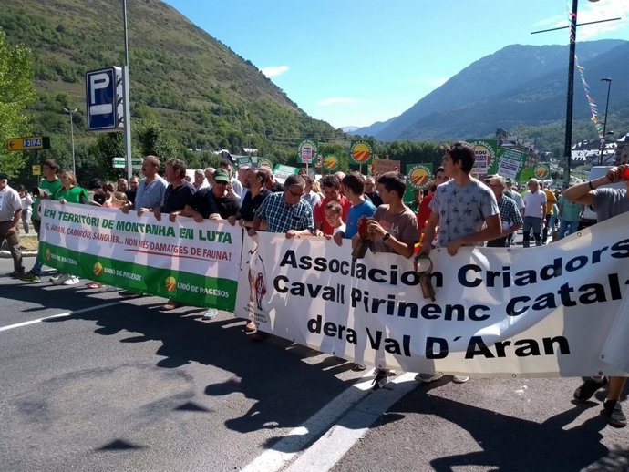 Manifestació a Vielha (Lleida) contra els atacs d'animals al bestiar