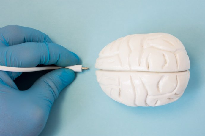 Conectar el cerebro