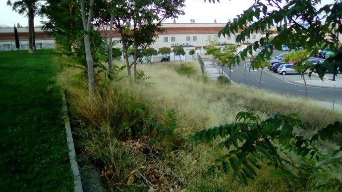 Estado de algunos solares en Parque Goya.