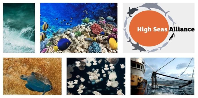 High Seas Alliance