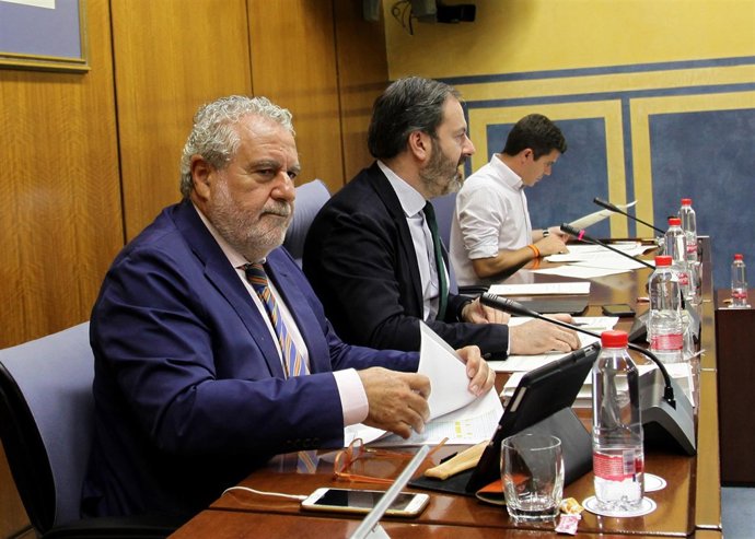 El subdirector general de RTVA, Joaquín Durán, en comisión 