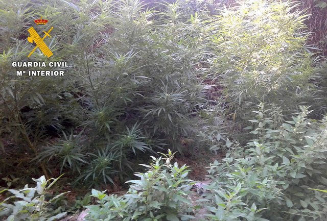 Nota De Prensa. Guardia Civil Burgos