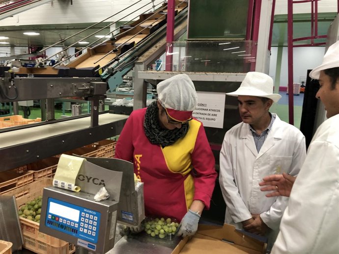 Miguel Ángel del Amor, durante su visita a la cooperativa Moyca Grapes