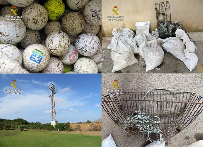 Imagen de las bolas de golf recuperadas
