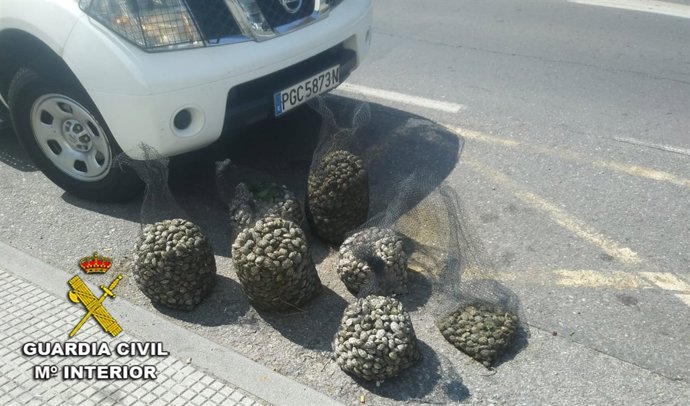 Remitiendo Nota De Prensa