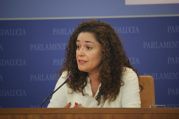 Inmaculada Nieto, parlamentaria de IULV-CA