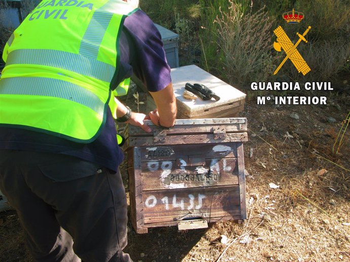 Hurto de colmenas en Almería