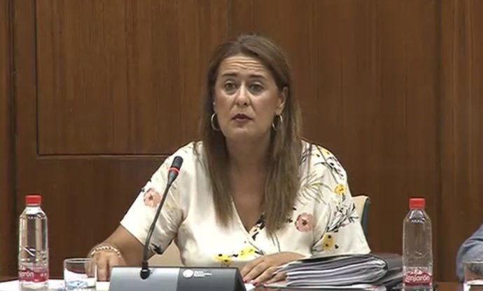 Gaya ofrece en el Parlamento avance del curso escolar 18/19