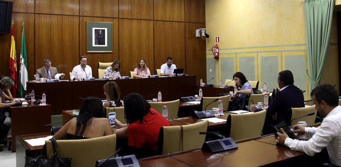 Comparecencia del consejero de Fomento, Felipe López, en comisión parlamentaria