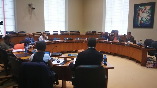 Comisión institucional del Parlamento de Galicia