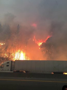 Incendio en el bosque nacional Shasta-Trinity National, California