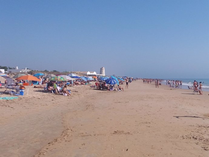 Playa de El Palmar (Cádiz)
