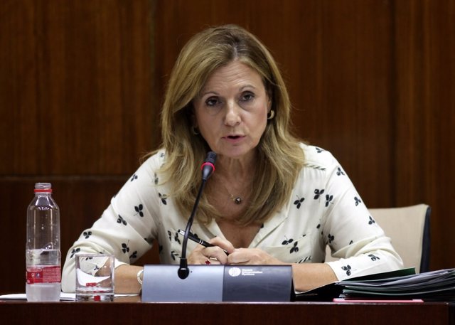 Marina Álvarez en la Comisión d Salud en el Parlamento