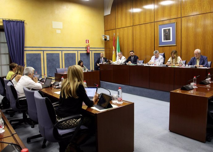 Comisión de Turismo en el Parlamento andaluz