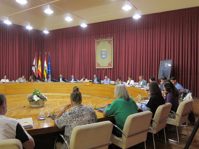                   Pleno Ayuntamiento De Logroño             