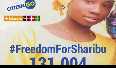 Cooperación y Desarrollo