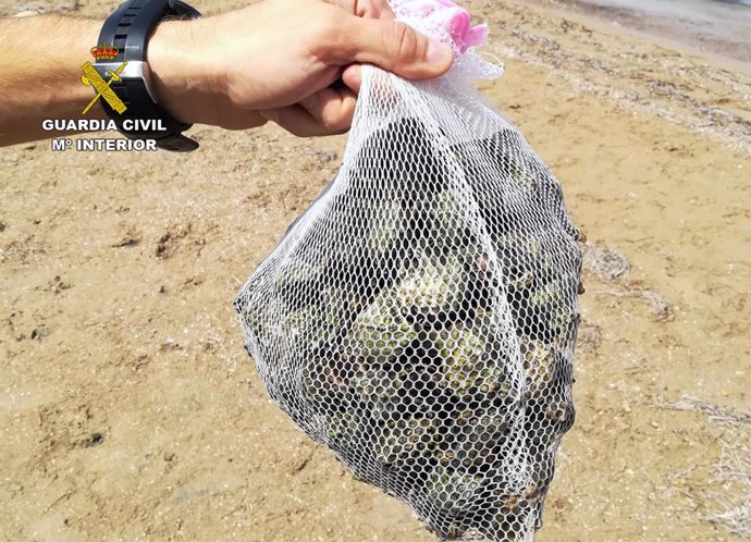 Caracolas de mar capturadas sin autorización en Playa Honda 