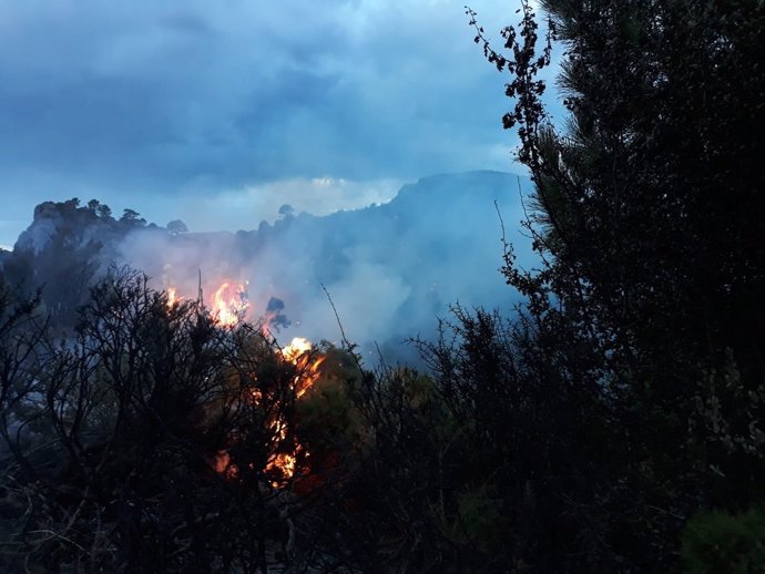 Incendio forestal en Albuñuelas (Granada)